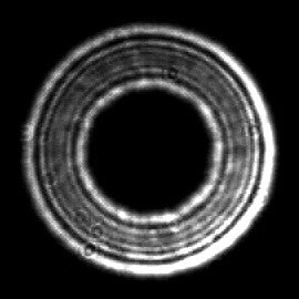 Astrozap Artificial Star for Collimation