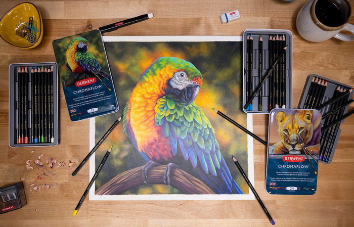 Derwent Chromaflow Coloured Pencils Tin of 12 by Derwent at Cult Pens