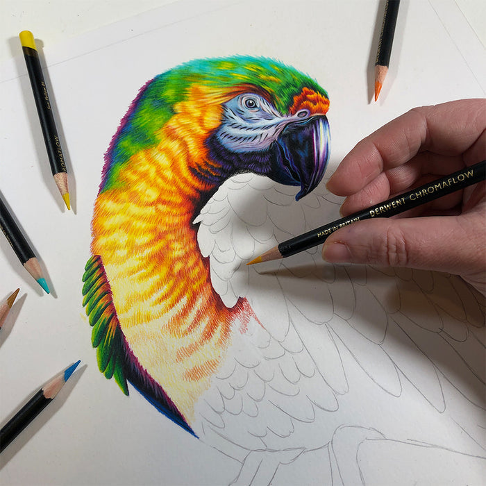 Derwent Chromaflow Coloured Pencils Tin of 12 by Derwent at Cult Pens