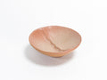 Dish