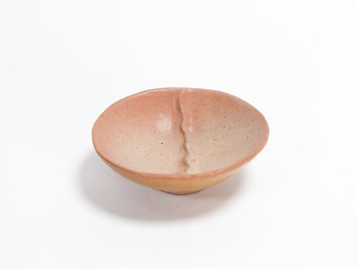 Dish