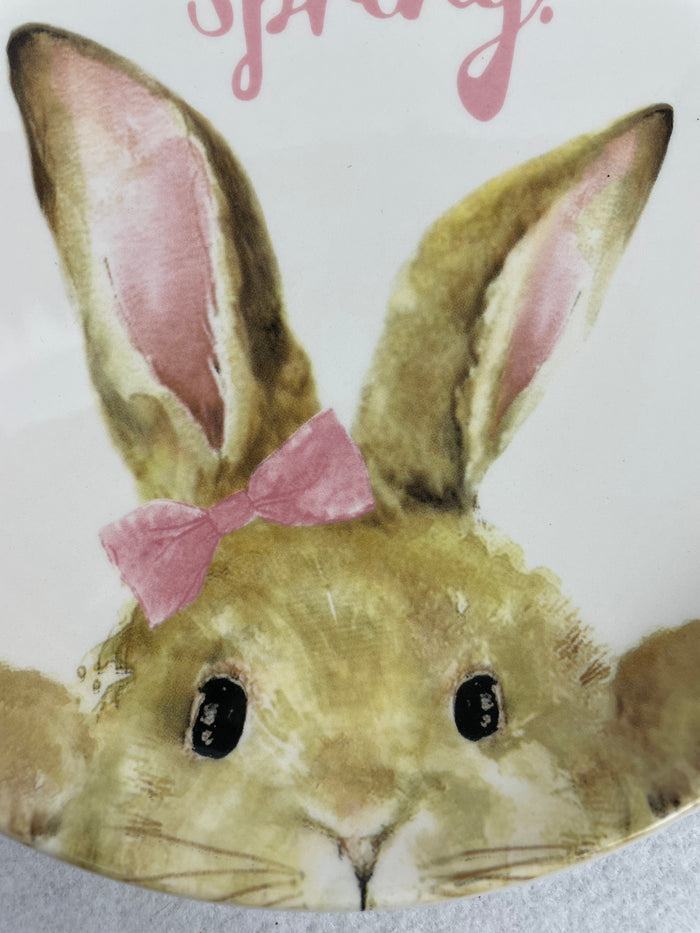 Easter Hello Spring or Happy Easter Small Bunny Fine Ceramic Plate