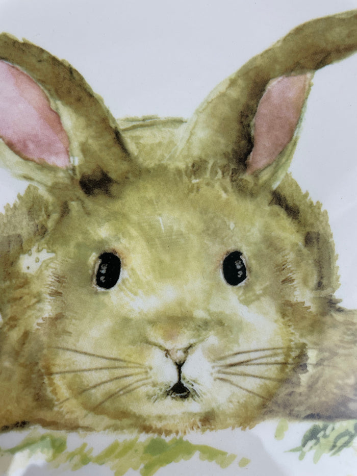 Easter Hello Spring or Happy Easter Small Bunny Fine Ceramic Plate
