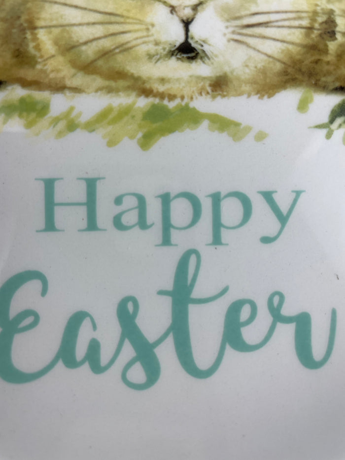 Easter Hello Spring or Happy Easter Small Bunny Fine Ceramic Plate