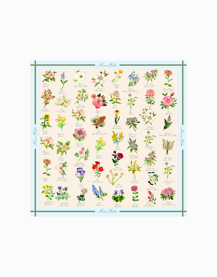 Fifty States, Fifty Flowers Silk Scarf