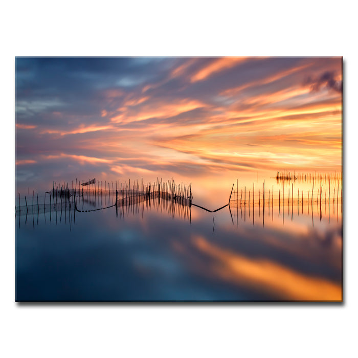 Fish Nets' Wrapped Canvas Wall Art