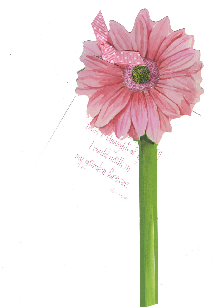 GAW936W Gerber Daisy Greeting Card
