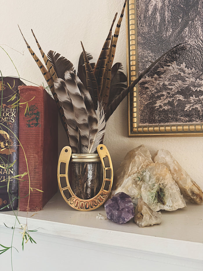 Good Luck Horseshoe Wall Hanging