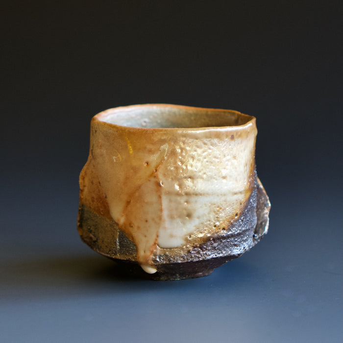 Guinomi (sake cup)