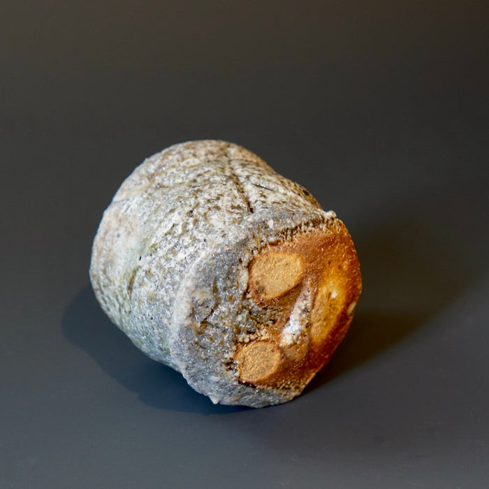Guinomi (sake cup)