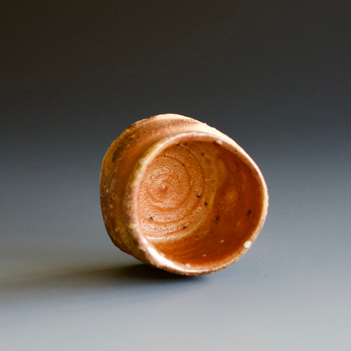 Guinomi (sake cup)