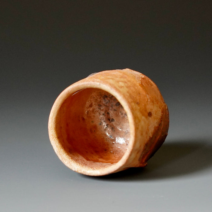 Guinomi (sake cup)