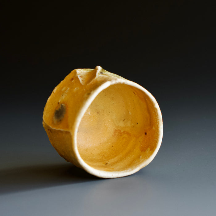 Guinomi (sake cup)