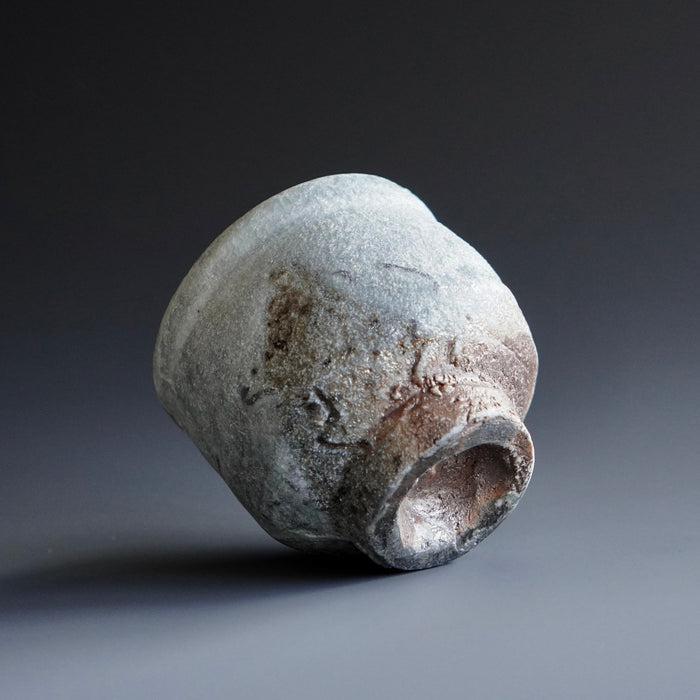 Guinomi (sake cup)