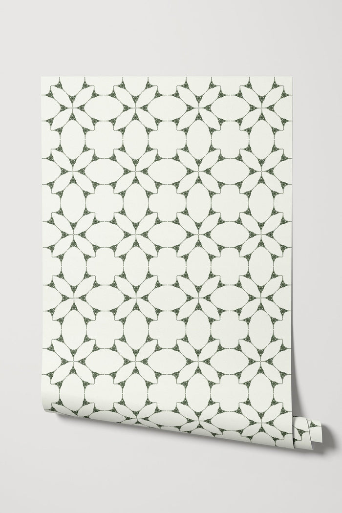 Gustave Light / Olive