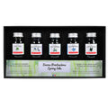 Herbin Seasons 5 Piece Assorted Ink Set Spring by Herbin at Cult Pens