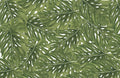 I125 PALM Frond Pattern