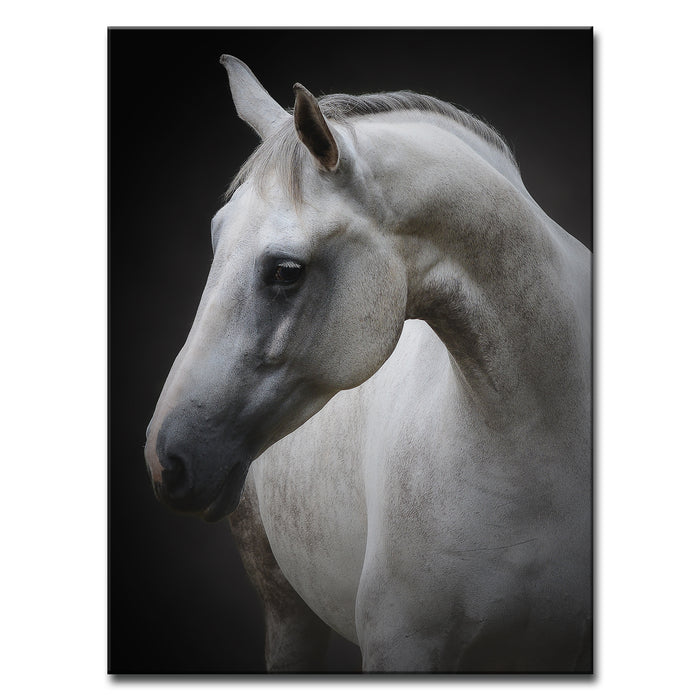 Maggie' Wrapped Canvas Wall Art