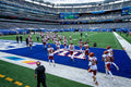 MetLife Stadium Wall Mural-Wall Mural-Eazywallz