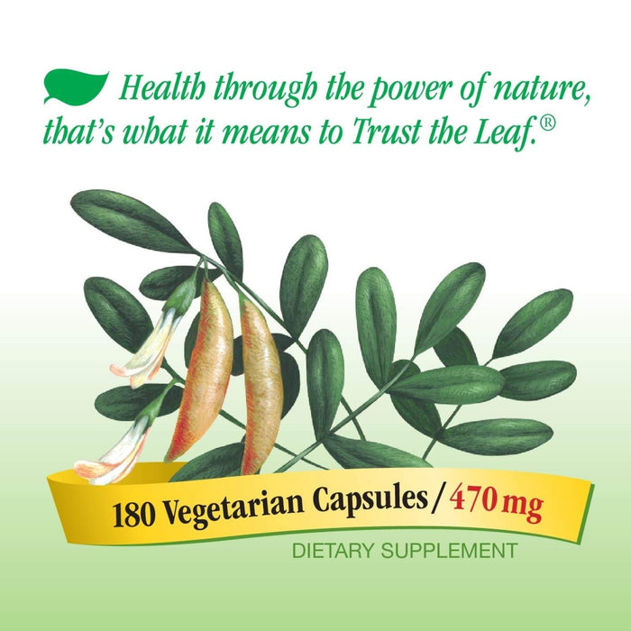 Nature's Way Astragalus Root, Traditional Immune Support*, Non - GMO Project Verified, Vegan, 180 Capsules - The Oasis of Health