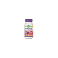 NATURE'S WAY ECHINACEA ANGUSTIFOLIA EX, 60 CAP