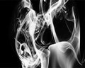 paint by numbers kit White Smokes - Custom paint by number