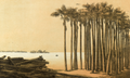 Palm Haven