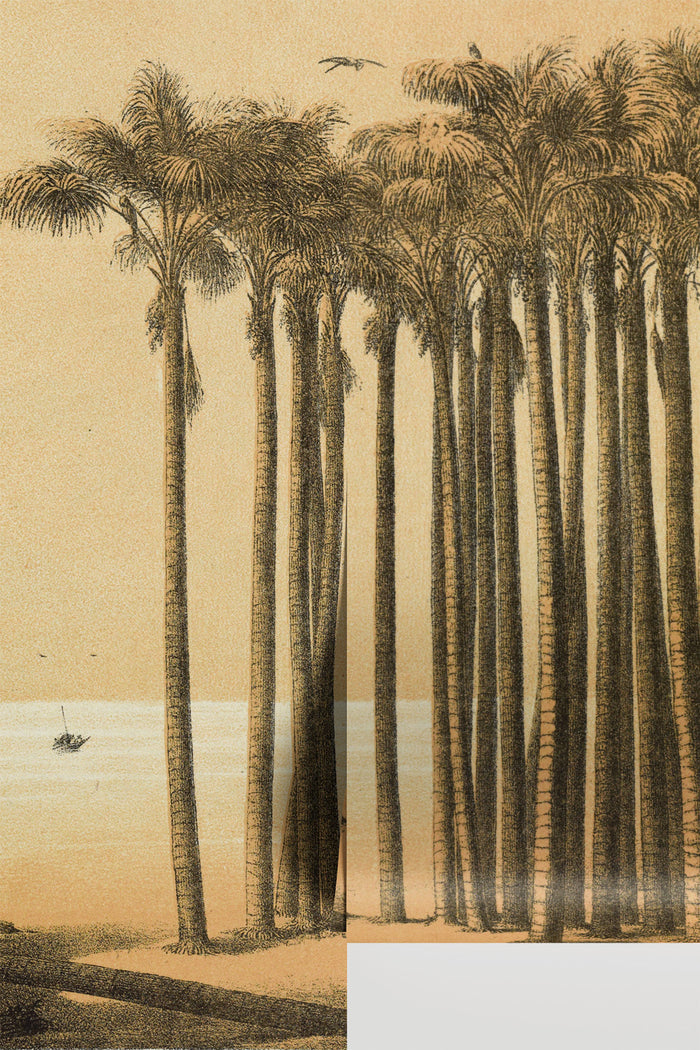 Palm Haven