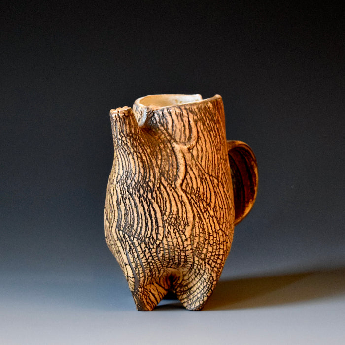 Pitcher