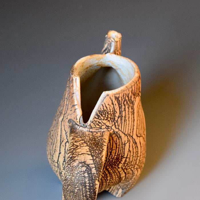 Pitcher