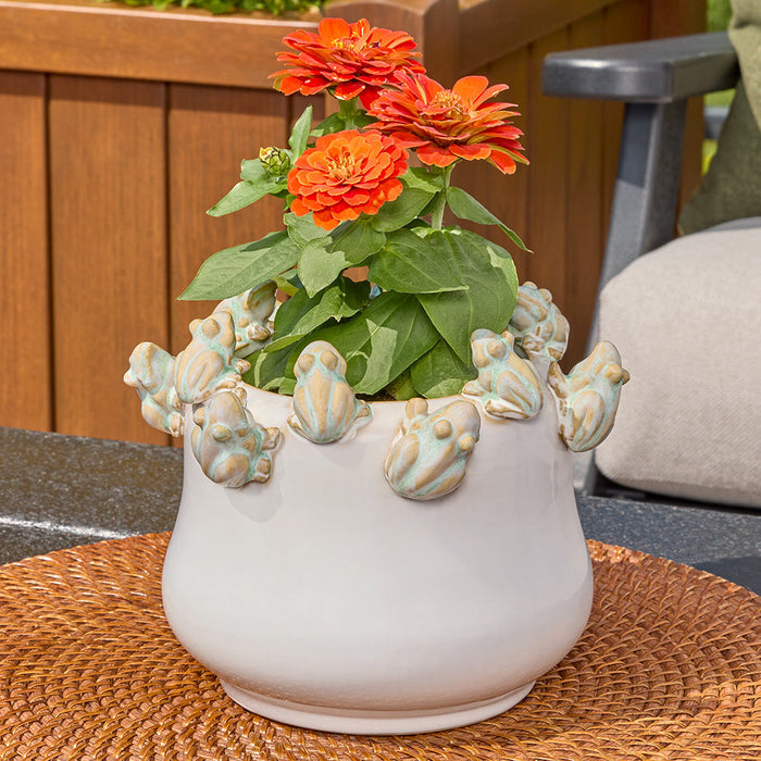 Secret Garden Stoneware Tiny Frogs Planter