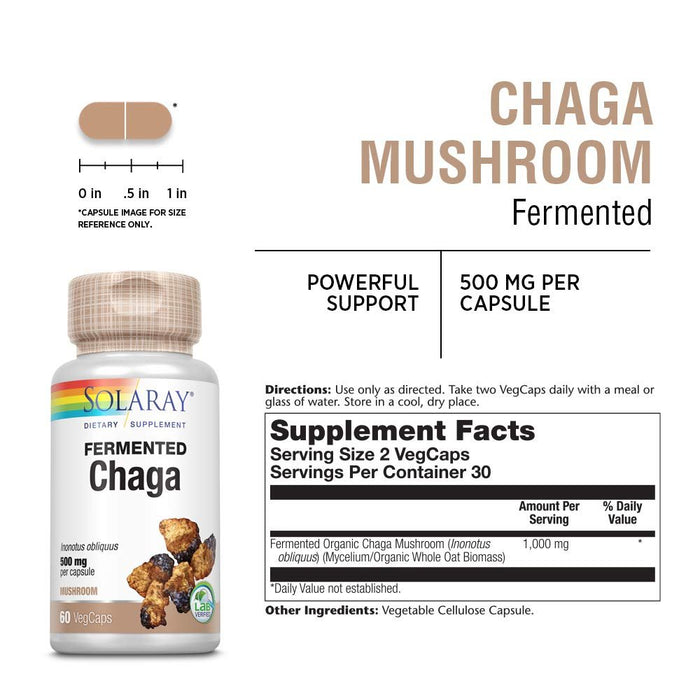 SOLARAY Fermented Chaga Mushroom 500 mg | Healthy Immune Function Support | 30 Servings | 60 VegCaps - The Oasis of Health