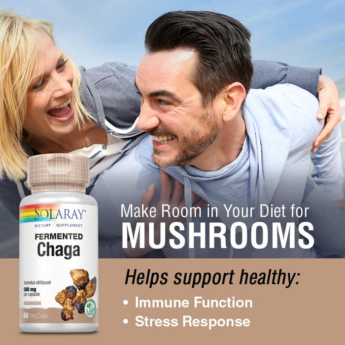 SOLARAY Fermented Chaga Mushroom 500 mg | Healthy Immune Function Support | 30 Servings | 60 VegCaps - The Oasis of Health