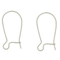 X EARWIRE KIDNEY (72 PAIR)